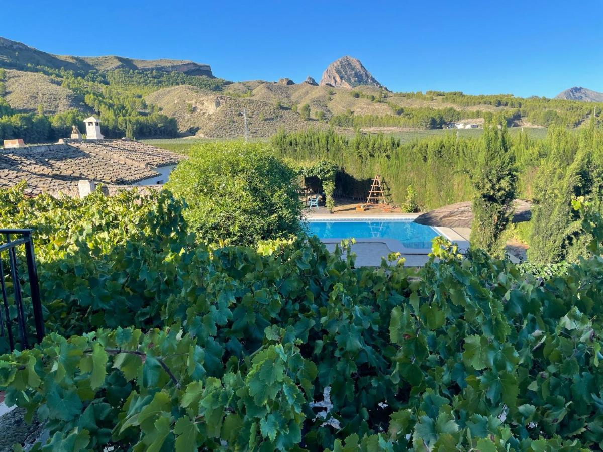 Casas Rurales El Cabezo De La Torre Villa Cieza Luaran gambar